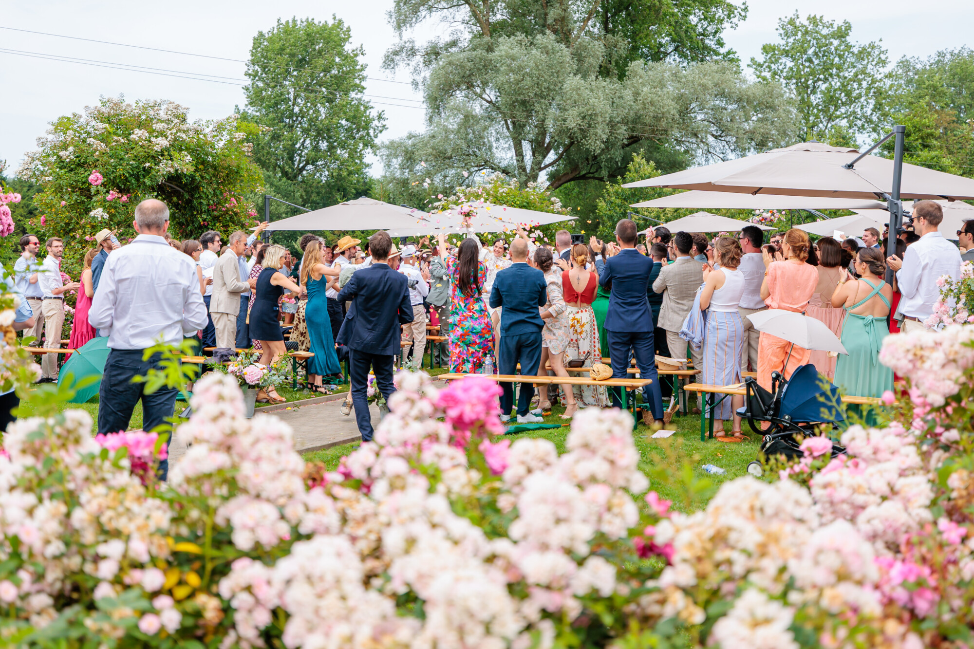 Cérémonie de mariage en plein air dans la roseraie du Domaine de la Traxène entourée des invités.